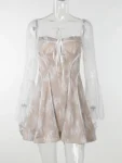 Lace Long Sleeve Mini Dress
