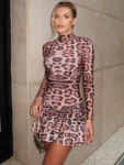 Leopard Print Mini Dress Front.webp