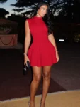 Red High Collar Mini Dress.webp