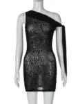 Mesh leopard print mini dress front.webp