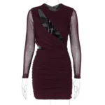 Wine Red Hollow Out Sheer Mini Dress Front