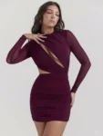Wine Red Hollow Out Sheer Mini Dress Front