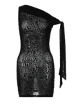 Mesh leopard print mini dress front.webp