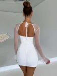Mesh Backless Long Sleeve Mini Dress.webp