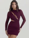 Wine Red Hollow Out Sheer Mini Dress Front