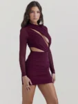 Wine Red Hollow Out Sheer Mini Dress Front