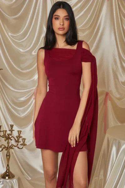 elegant wine red bodycon mini dress front view with ribbon